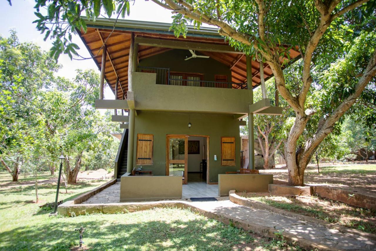 Kalu'S Hideaway Udawalawe 호텔 외부 사진