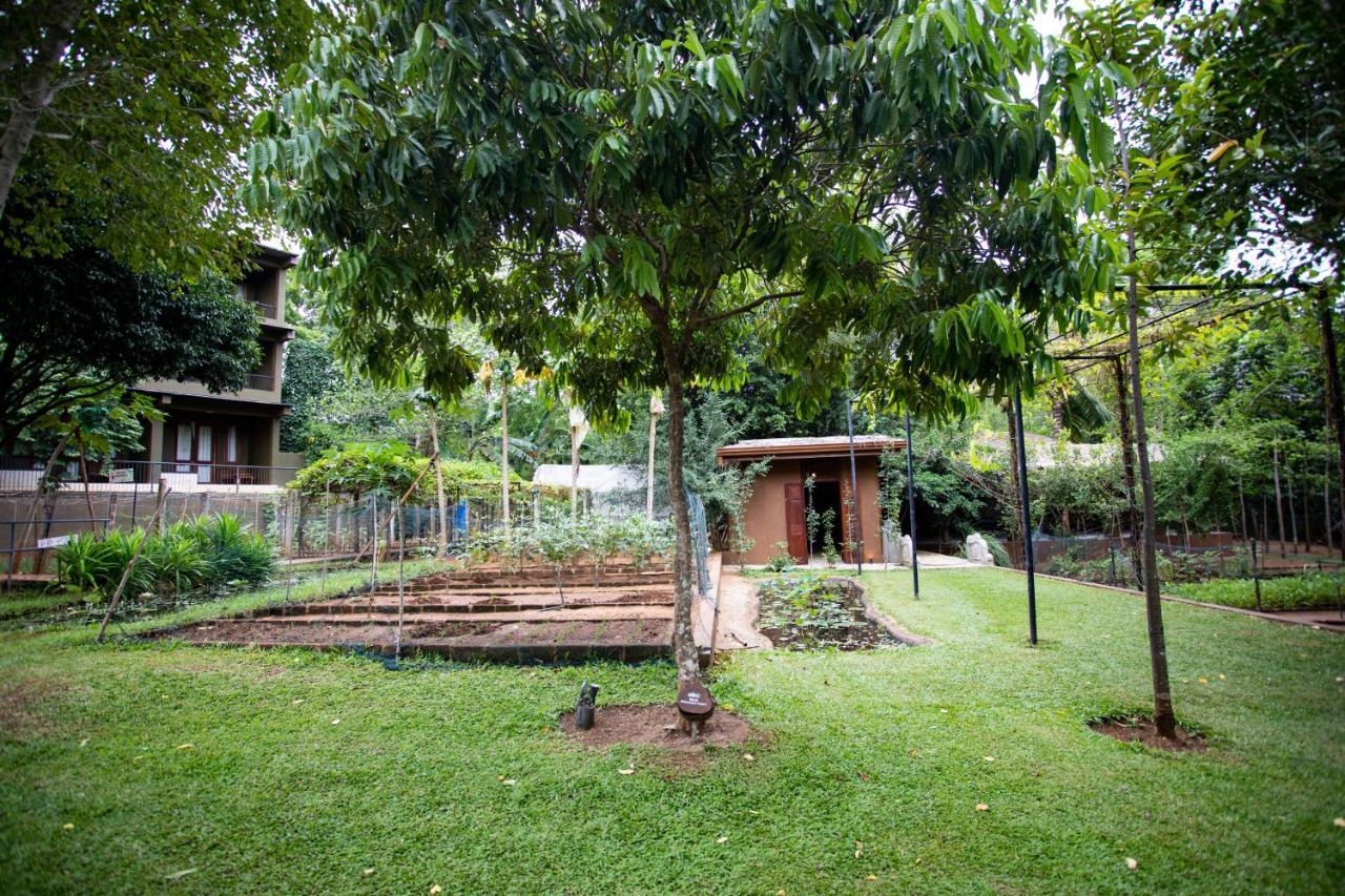 Kalu'S Hideaway Udawalawe 호텔 외부 사진