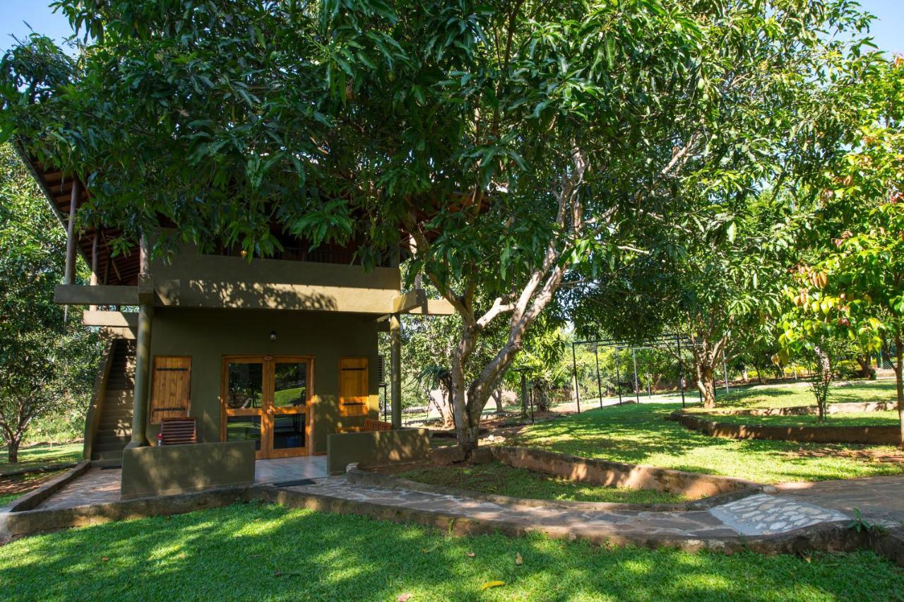 Kalu'S Hideaway Udawalawe 호텔 외부 사진