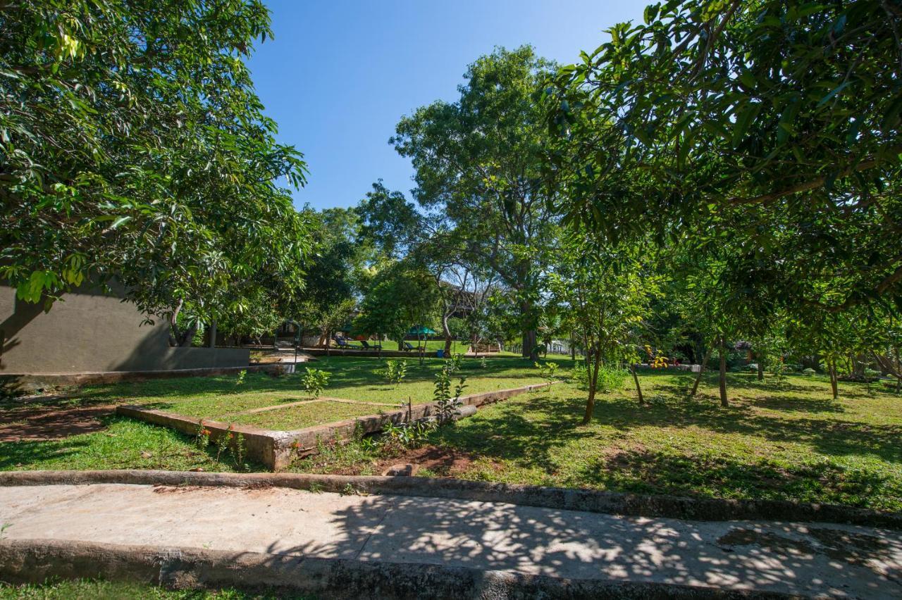 Kalu'S Hideaway Udawalawe 호텔 외부 사진